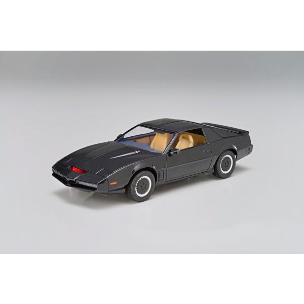 aoshima-bk_6560_1_d_20230703144358