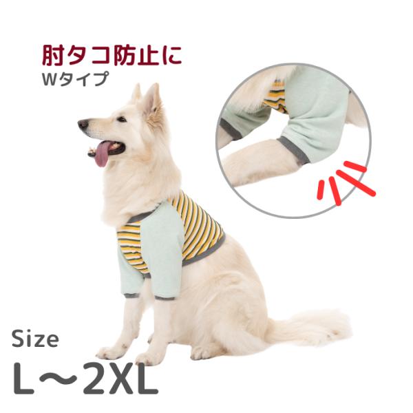 COCOR エルボガード服Wタイプ ボーダー×ライトグリーン