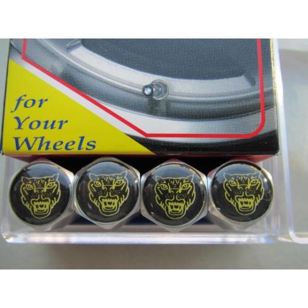 WK[Zp(zCgx[X)GA[ouLbv