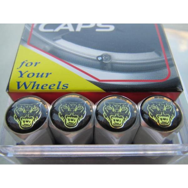 WK[Zp(Vo[x[X)GA[ouLbv