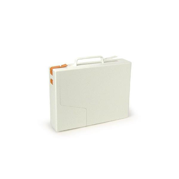 MAGIS（マジス） キャリーバッグ ブリーフケース LA VALISE ラ
