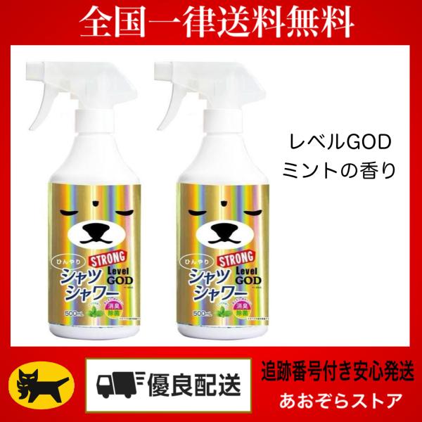 2個セット ひんやりシャツシャワー ストロング レベルGOD ミント