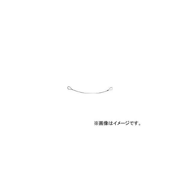 他サイト： ニッサチェイン/NISSA カットワイヤー 1.0×600mm Y12(3324389) JAN：4968462039128の商品画像