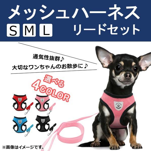 AP bVn[lX [hZbg UK ʋCQ Iׂ4J[ Iׂ3TCY AP-TH916