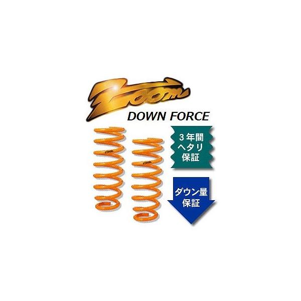 ズーム ダウンフォース ローダウンサスペンション ZHO013004FDF 入数：フロント左右 ホンダ アクティトラック HA4 E07A 4WD  1988年08月〜1999年08月