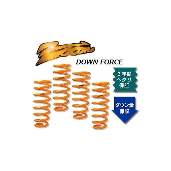 ズーム ダウンフォース ローダウンサスペンション ZSB018004SDF