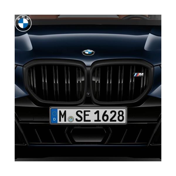 BMW BMW純正 ブラック・キドニー・グリル (G05 M60i) (LCI) : APdirect