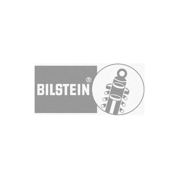 BILSTEIN@rV^C S]ʃXebJ[@Vo[lR|X֑Ήi