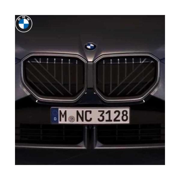 BMW BMW純正 ブラック・キドニー・グリル (G45) : APdirect - 通販