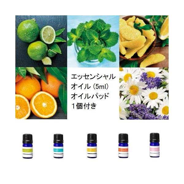 MINI NEW A}EfBt[U[ GbZVEIC[p (eT)