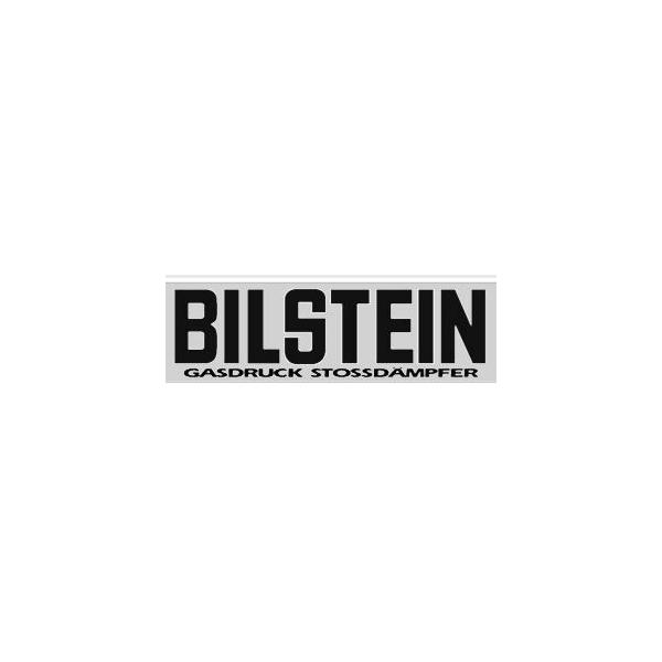 BILSTEIN@rV^C ]ʃXebJ[@ubNlR|X֑Ήi