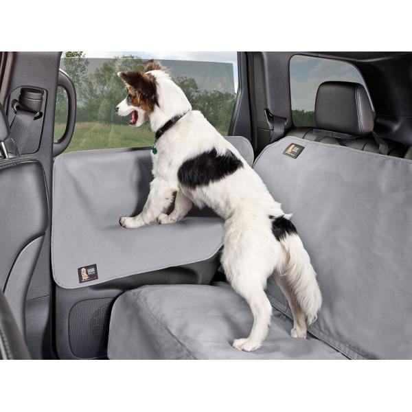 yWeatherTechKAzhA veN^[(`R[/RRA/^/O[)ybgp hAplETChhAیJo[ 2Zbg(55.8cm x 45.72cm)