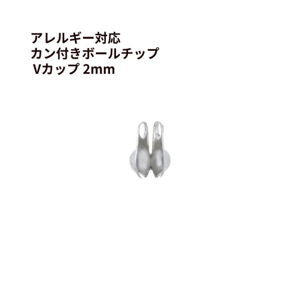 apfel_bcvc2s50