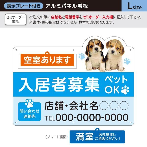 54046872_6