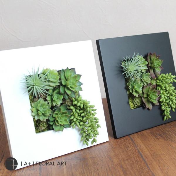 インテリアグリーン ボタニカルフレーム ルメン 白 フェイクグリーン 多肉植物 観葉植物 壁掛け インテリア Buyee Buyee Japanese Proxy Service Buy From Japan Bot Online