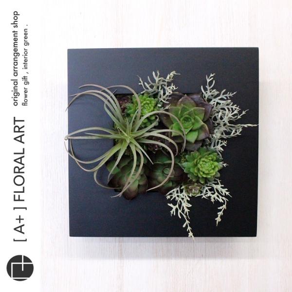 インテリアグリーン ボタニカルフレーム Quatro クワトロ 黒 フェイクグリーン 多肉植物 観葉植物 壁掛け インテリア 男前 モダン Buyee Buyee 提供一站式最全面最专业现地yahoo Japan拍卖代bid代拍代购服务 Bot Online