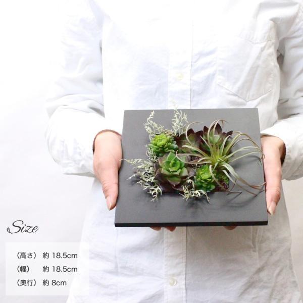 インテリアグリーン ボタニカルフレーム Quatro クワトロ 黒 フェイクグリーン 多肉植物 観葉植物 壁掛け インテリア 男前 モダン Buyee Buyee 日本の通販商品 オークションの代理入札 代理購入