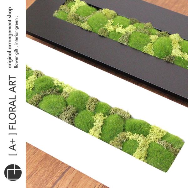 インテリアグリーン モスフレーム Crop Moss クロップモス 長方形 白 プリザーブドフラワー 壁掛け 父の日 盆栽 苔 コケ Buyee Servicio De Proxy Japones Buyee Compra En Japon