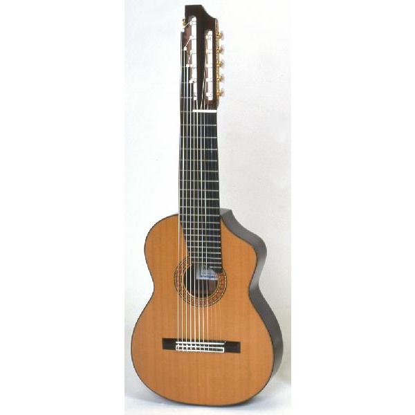 ASTURIAS AXgAX@11-STRING 11M^[