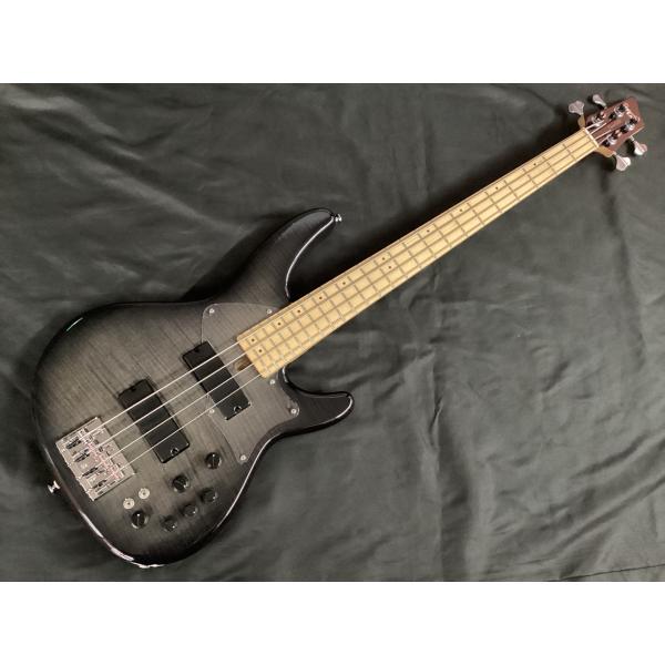 fujigen edr 4m フジゲン エキスパートシリーズ