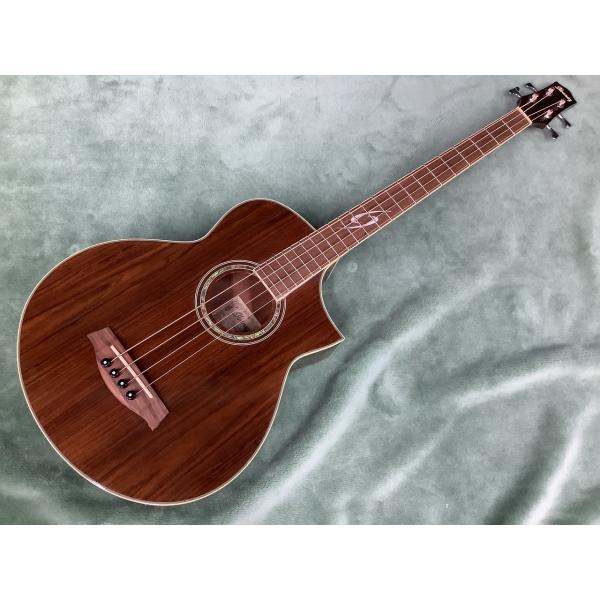 Ibanez EWB20 EWB 20