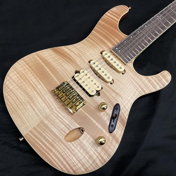 【セミアコ】IRIN アイリーン ホロウFホール22フレット トレモロアーム機能 Ibanez SEW761FM/NTF (アイバニーズ 24フレット)【新潟店】 : あぽろん