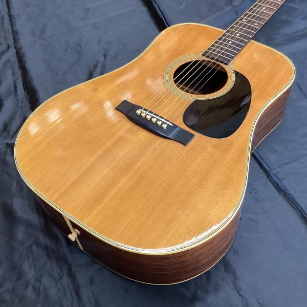 Cat's Eyes CE-500CF 1980年製? (キャッツアイズ アコースティック