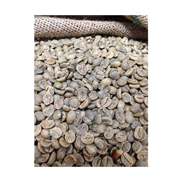 松屋珈琲 ブラジル サントス