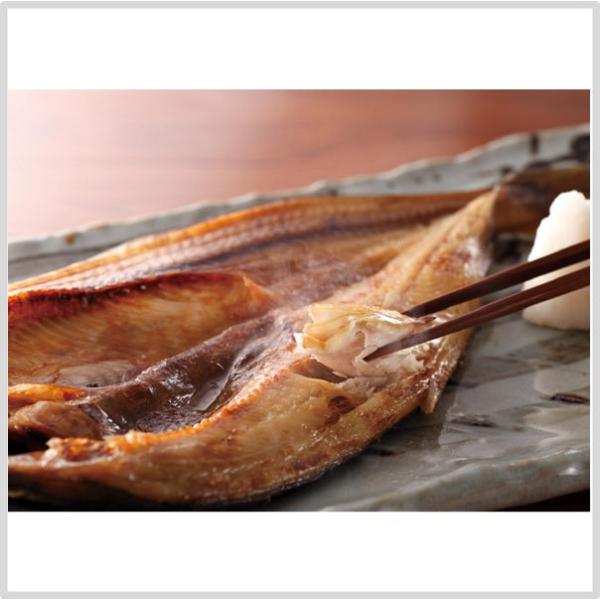 apos_4968295230020_1_d_20231218165703