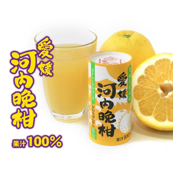 愛工房 河内晩柑ストレートジュース 果汁100% 125ml×30本セット ケース販売