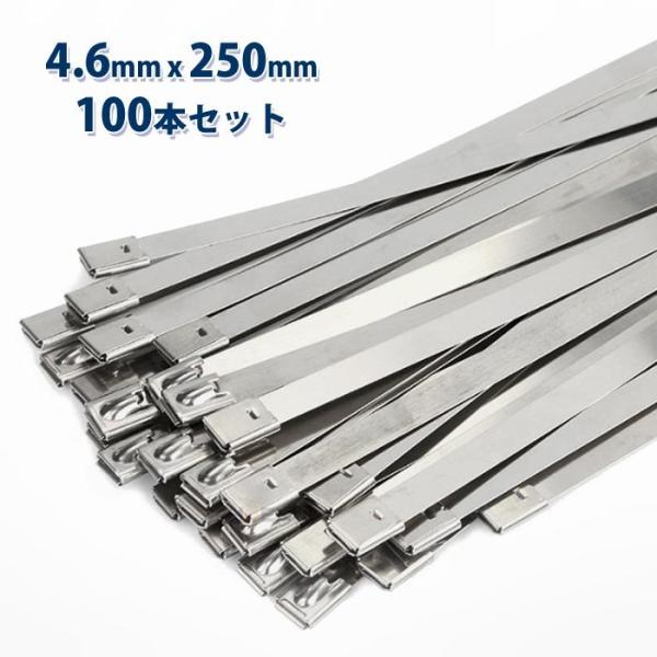 ステンレス 結束バンド タイラップ 4.6x250mm 100本 セット ホースバンド 耐熱 コード ケーブル 配線工事 車 バイク マフラー