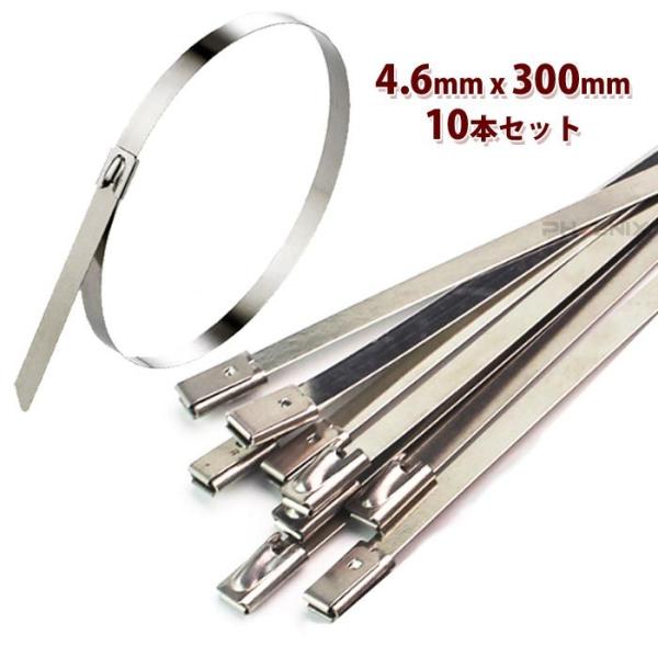 ステンレス 結束バンド タイラップ 4.6x300mm 10本 ホースバンド インシュロック 耐熱 コード ケーブル 車 バイク 配線 ガーデニング