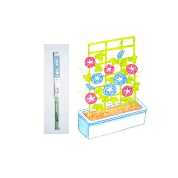 【商品概要】全長:高さ90cm×巾60cm材質:スチールパイプ(樹脂コーティング)お庭やベランダを演出するプランター等の育成やツル巻きに使用朝顔やひまわりの育成にピッタリ【商品説明】【商品詳細】ブランド：キンボシ(Kinboshi)商品種別...