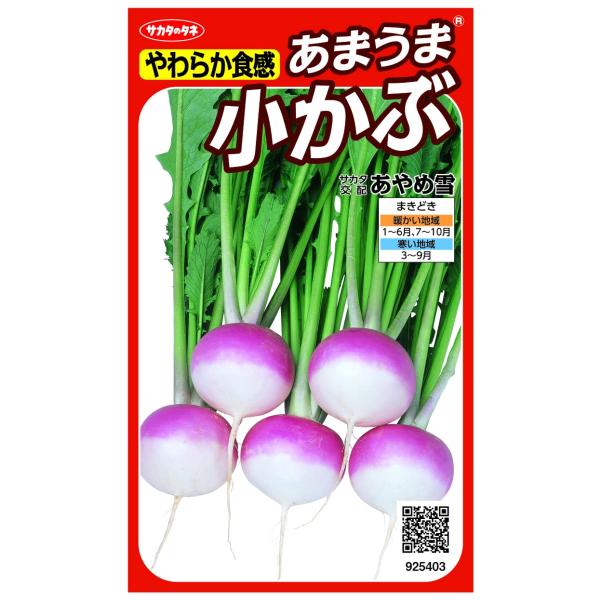 【商品概要】切替月:6月詰量:3ml発芽率:90%採苗本数:500春秋扱い:春秋兼用種まきどき:春・秋【商品説明】【商品詳細】ブランド：サカタのタネ商品種別：DIY・工具・ガーデン商品名：サカタのタネ やわらか食感 あまうま小かぶ あやめ雪...