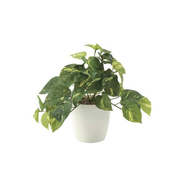 【商品概要】商品サイズ (幅×奥行×高さ) :30×30×25原産国:日本内容量:1個【商品説明】【商品詳細】ブランド：アートクリエイション商品種別：ホーム＆キッチン商品名：アートクリエイション 光の楽園 光触媒フレッシュポトスS製造元：ア...