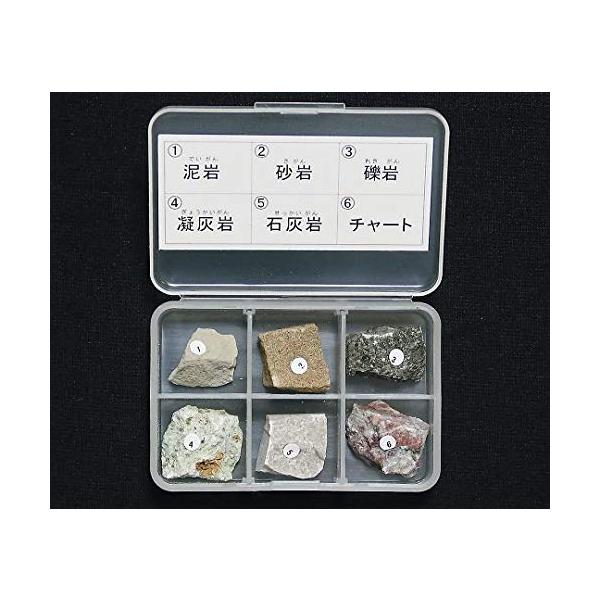 【商品概要】岩石標本　堆積岩6種入数:1セット内容:泥岩、砂岩、れき岩、凝灰岩、石灰岩、チャート解説等:解説付き【商品説明】【商品詳細】ブランド：Tokyo Science商品種別：おもちゃ商品名：東京サイエンス 岩石標本 岩石標本堆積岩6...