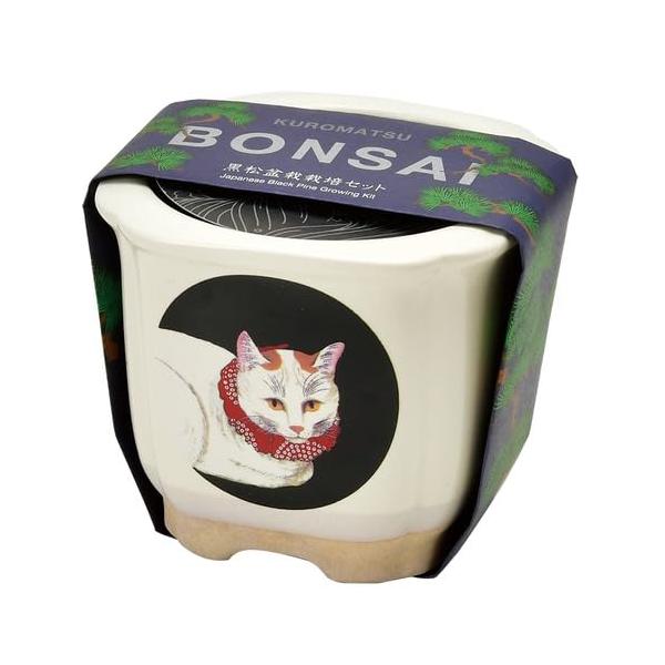 【商品概要】取扱説明書付き（日本語/英語）【商品説明】【商品詳細】ブランド：聖新陶芸商品種別：DIY・工具・ガーデン商品名：聖新陶芸 JAPANESE BONSAI 白猫 サイズ：約W8.5 D8.5 H7.5 GD-64005製造元：聖新...