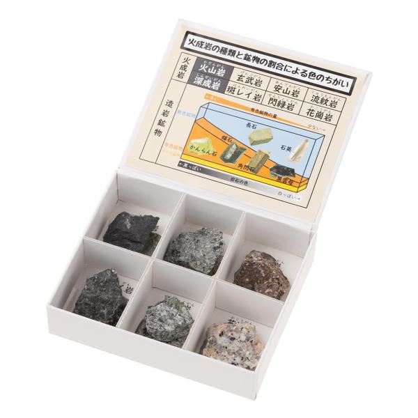 【商品概要】ミニ標本シリーズ箱のサイズ:75×90×20mm内容:玄武岩、安山岩、流紋岩、斑レイ岩、閃緑岩、花崗岩各標本の産地リスト付きこの商品に使用している岩石、鉱物、化石標本は天然のものですので個体によって大きさや色、質感が異なります。...