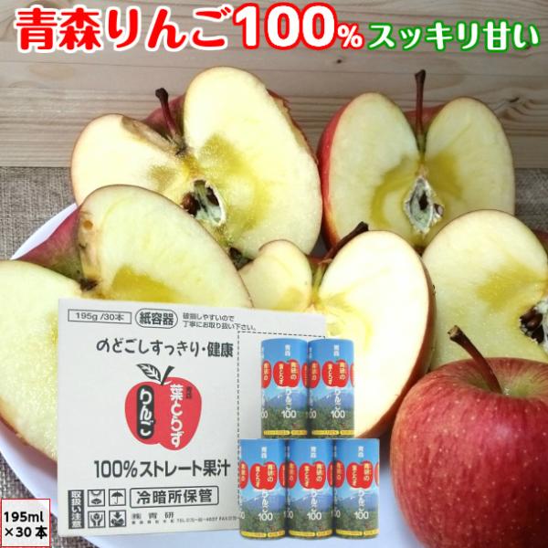 リンゴジュース 青研の葉とらずりんごジュース ストレート100%果汁 195g 30本入 1ケース 青森県産 青研  無添加