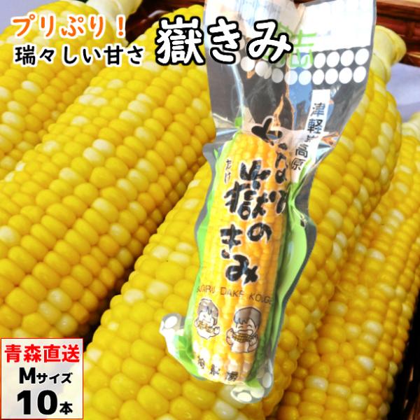 《あなた嶽のきみ（真空パック）Mサイズの特徴》・青森県弘前市岩木地区の嶽（だけ）でしか育たない「ダケキミ」は、昼夜の気温差によって糖度がぐっと高まる特別なとうもろこしです。標高400m以上の高冷地でじっくり育つため、果物のような強い甘みがあ...