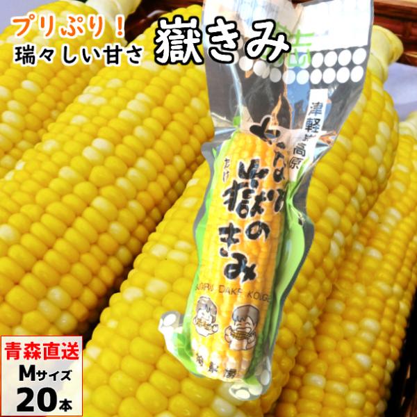 《あなた嶽のきみ（真空パック）Mサイズの特徴》・青森県弘前市岩木地区の嶽（だけ）でしか育たない「ダケキミ」は、昼夜の気温差によって糖度がぐっと高まる特別なとうもろこしです。標高400m以上の高冷地でじっくり育つため、果物のような強い甘みがあ...