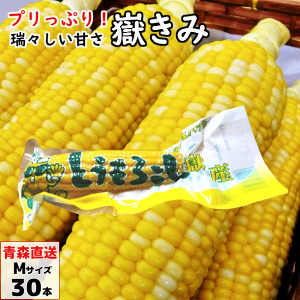 《嶽きみ（真空パック）Mサイズの特徴》・青森県の岩木山麓・嶽（だけ）地区限定で栽培される嶽きみ（とうもろこし）は、他のトウモロコシとは一線を画す高糖度のスイートコーンです。標高400〜500mの高冷地で昼夜の寒暖差が約10度ある環境が、甘み...