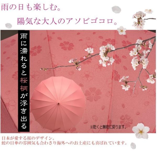 傘 16本骨 ジャンプ雨に濡れると桜柄が浮き出る 祝い 贈り物 ラッピング 贈り物 浮き桜 母の日 ギフト プレゼント 母の日ギフト 贈り物 義母 母の日 プレゼント Buyee 日本代购平台 产品购物网站大全 Buyee一站式代购 Bot Online