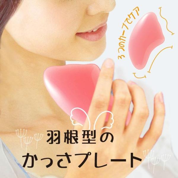  JbT }bT[Wv[g nfB[}bT[W y lC {fBPA  