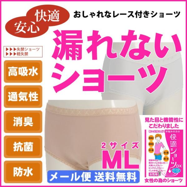 փV[c ARpc y V[c  wlp z yʗp