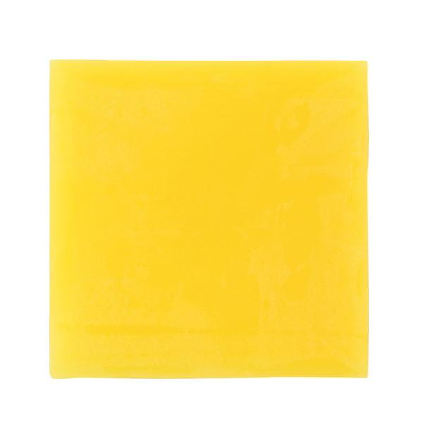 applied-net_1016-4521718583099-ds