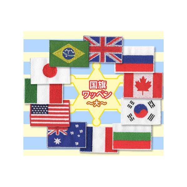 国旗ワッペン ・ 大 ・ 刺繍 日本 韓国 アメリカ イギリス フランス イタリア ブラジル オーストラリア カナダ ロシア ブルガリア アイロン接着対応