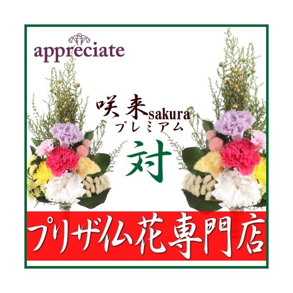 @vU[uht[@ԁ@痈sakurav~Ay΁z