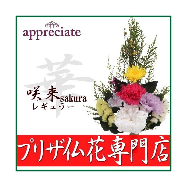 @vU[uht[@ԁ@痈sakuraM[