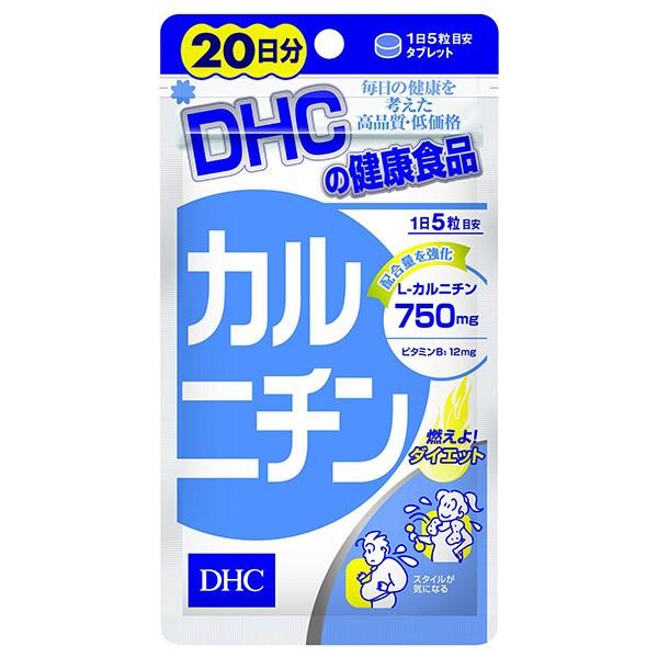 DHC 20�� �J���j�`�� �T�v�������g(20����)